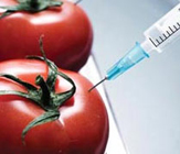 продукты с ГМО