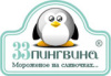 33 пингвина