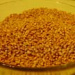 Пшеница (Россия)